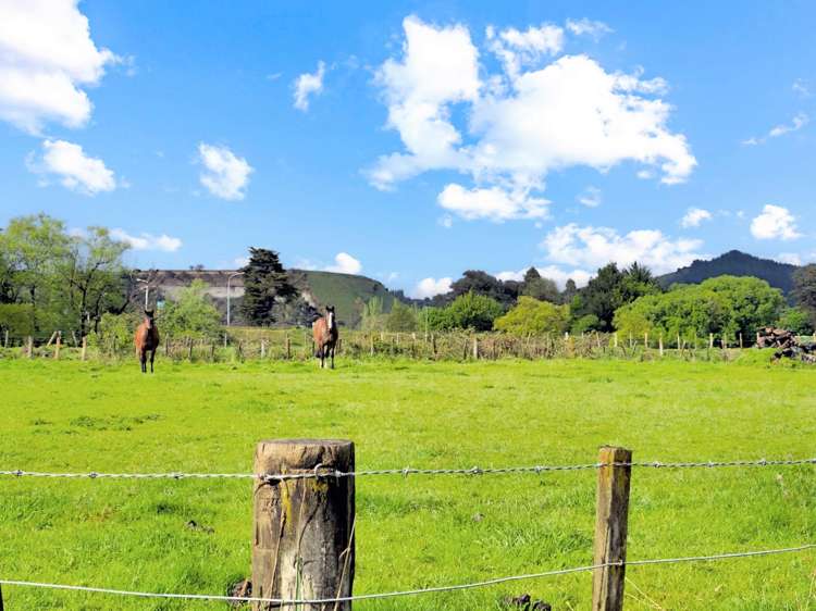 28 Kakariki Street Mangaweka_3