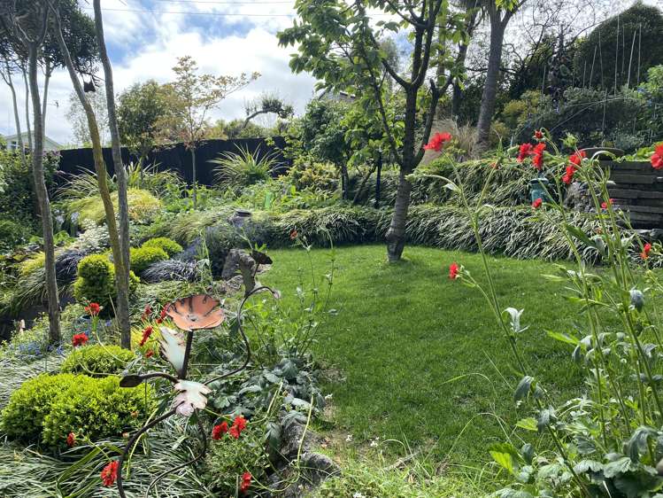 51 Vernon Terrace Hillsborough_24