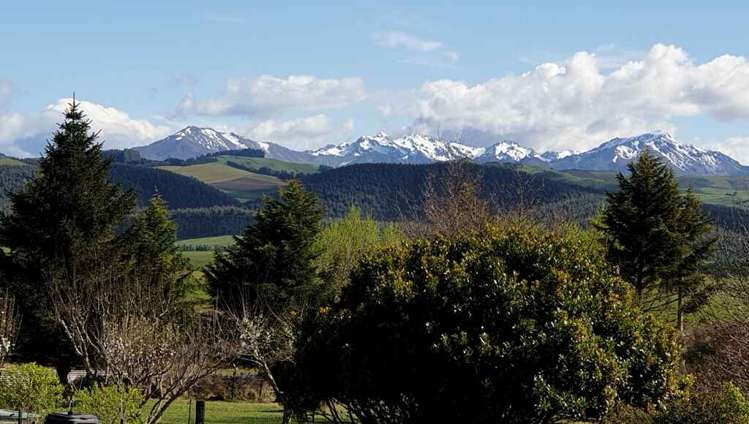 164 Birchwood Road Ohai_7