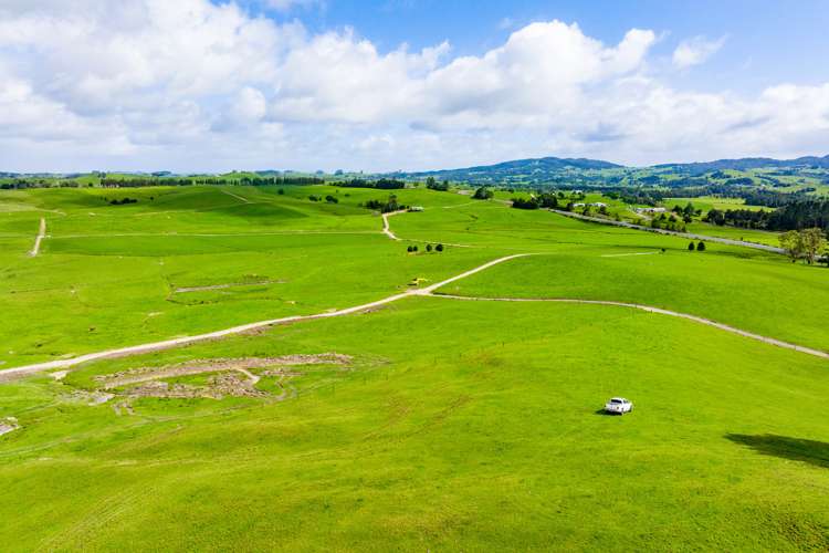 2682 State Highway 1 Brynderwyn_17