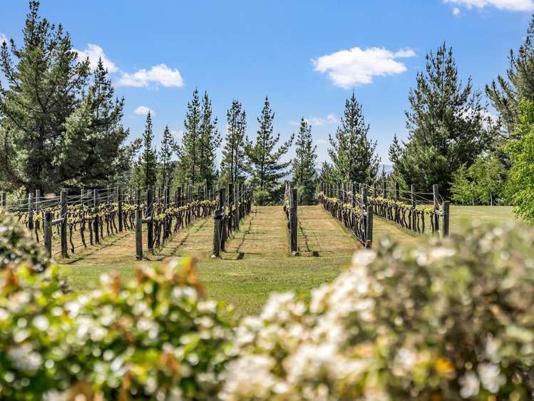 120 Hillview Road Alexandra_8