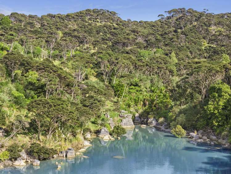 503 Te Akau Wharf Road Te Akau_1