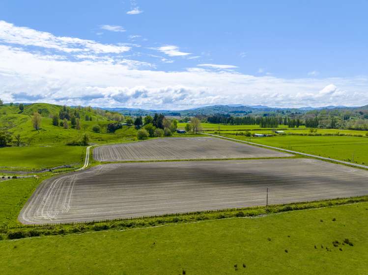 271 Awamate Road Wairoa Country_7