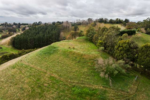 Puketitiri Road Puketapu_1