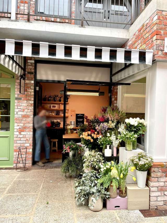 4 Brown Street Ponsonby_1