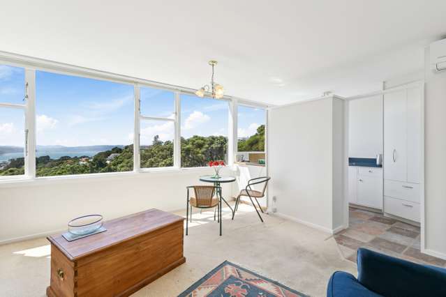 5/4 Raroa Road Kelburn_1