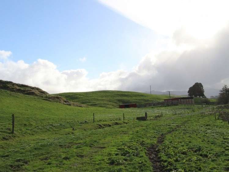 300 Nireaha Hukanui Road Eketahuna_12