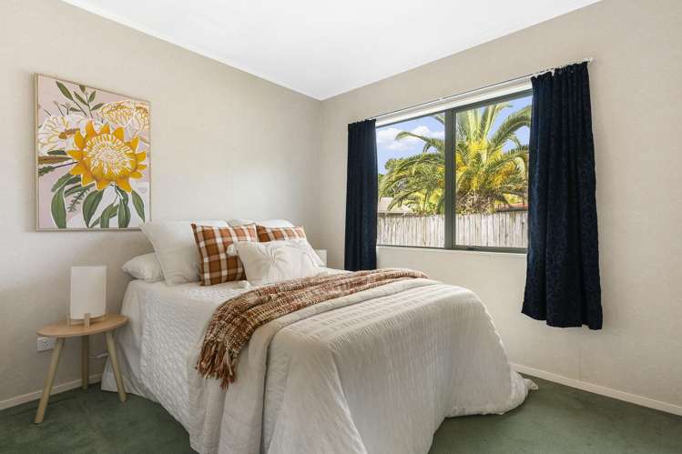 86a Avondale Road Avondale_7