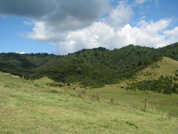 29 White Rocks Rise Kuaotunu_5