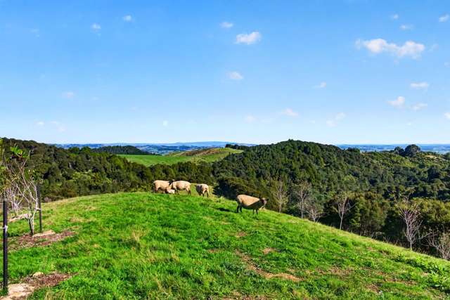 115 Sonja Drive Hunua_2