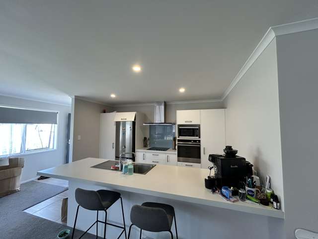 49 John Andrew Drive Warkworth_2