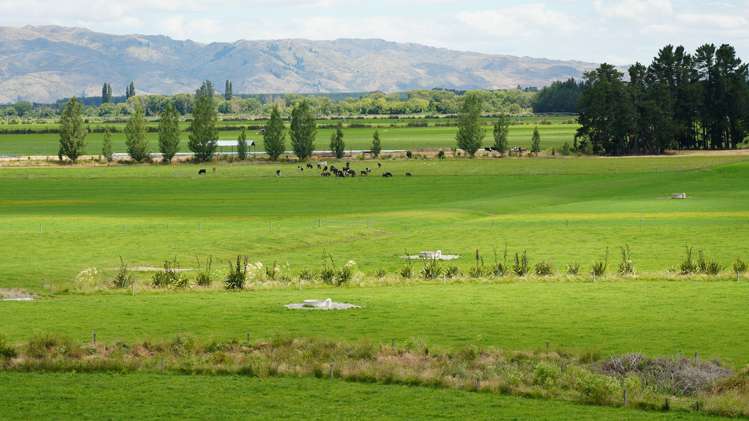 78 Cemetery Road Culverden_7