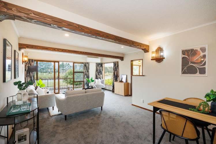 47 Dittmer Drive Awapuni_12