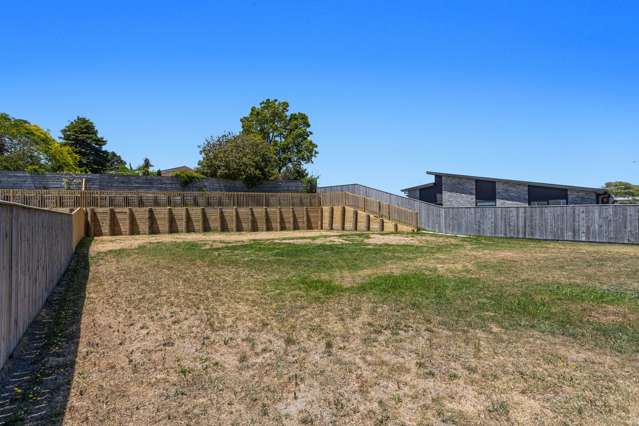 12 Kakariki Drive Coastlands_3