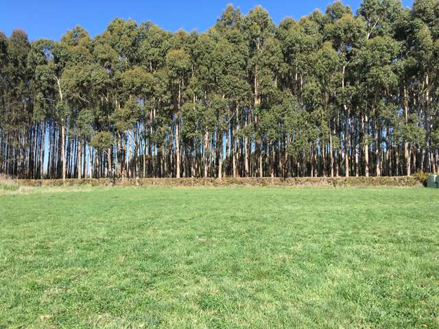 182 Jacksons Road Ohoka_4