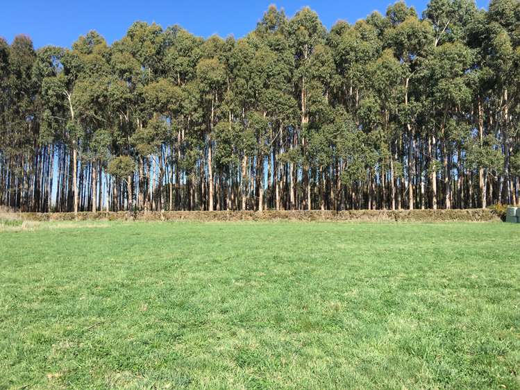 182 Jacksons Road Ohoka_4