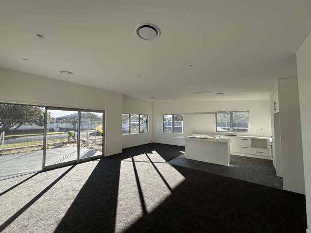 Near completion - open home this Saturday!