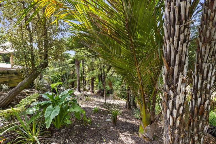 58 Government Road Raglan_18