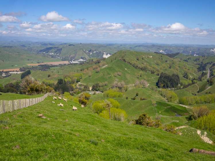 6900 State Highway 1 Mangaweka_30