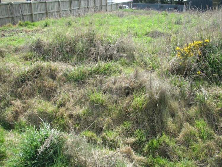 19 George Street Waihola_7