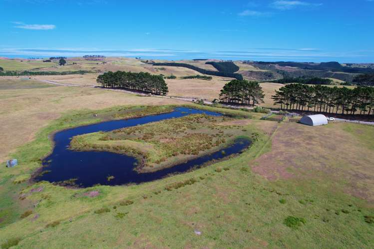 1008 Te Maire Road Te Kopuru_20