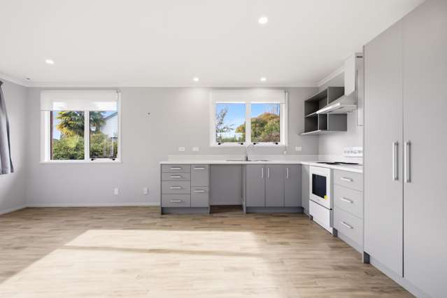 171 Miro Street Taumarunui_3