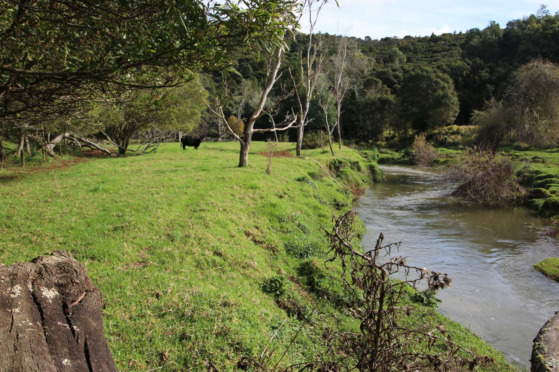 804 Otangaroa Road Kaeo_0