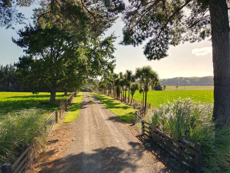 685 Waitahora Road Dannevirke_21