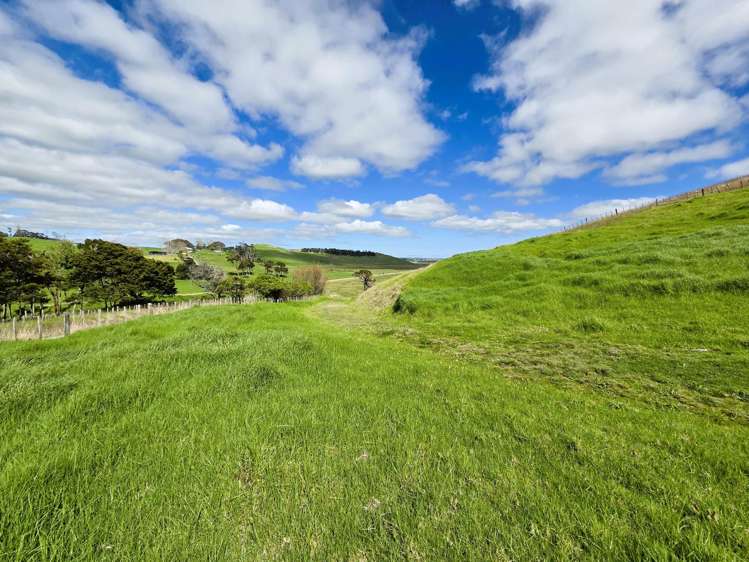 Morrison Road Dargaville_10