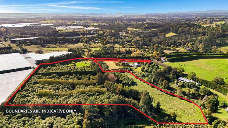 24B Chard Road Aongatete_8