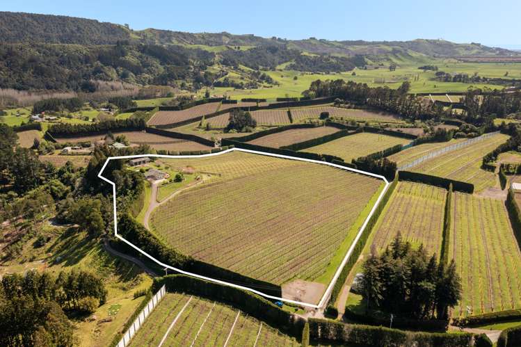 388 Manoeka Road Te Puke_12