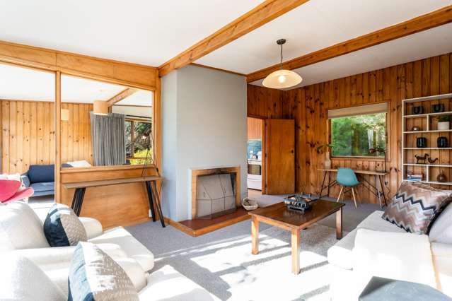 61 Braeview Crescent Maori Hill_2