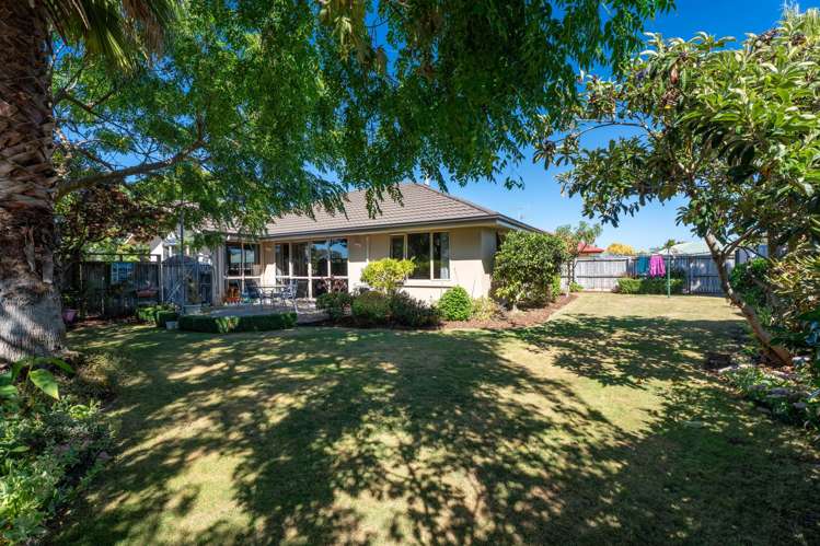 62 Sanderlane Drive_0