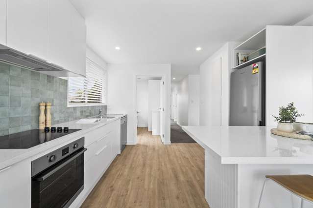 89 Chelsea Street Linwood_3