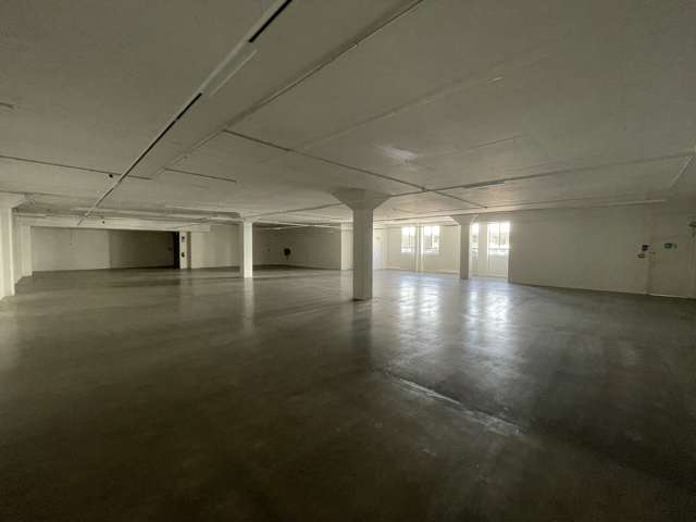 14 West Street Eden Terrace_4