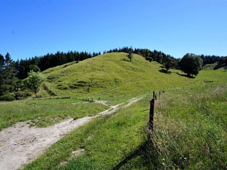 1788 Manawahe Road Manawahe_8