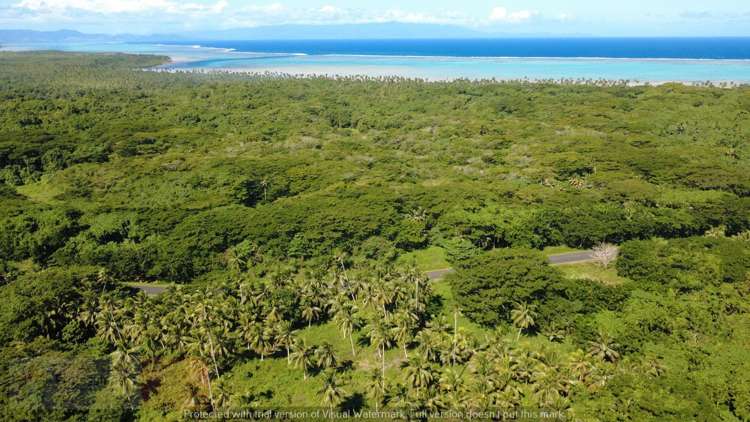 Address withheld Savusavu_16