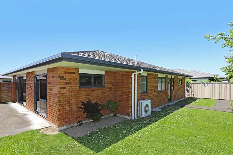 1109b Karamu Road North Mayfair_15