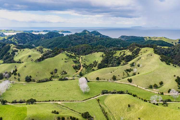 570 and 698 Whananaki South Road Whananaki_11