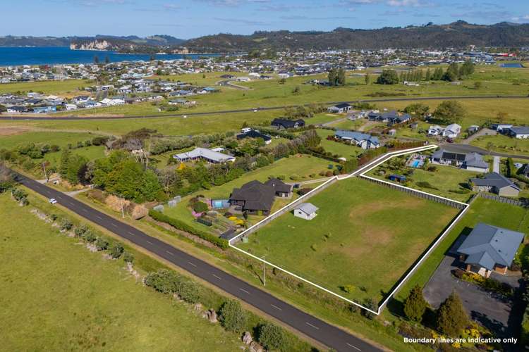 12 Austin Drive Whitianga_9