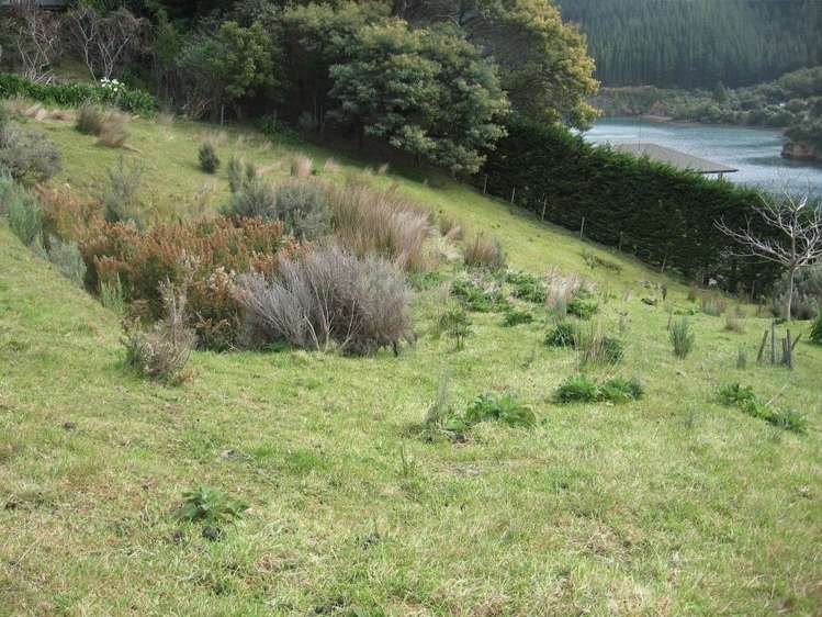 395 Cissy Bay Road Marlborough Sounds_5