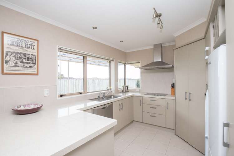 41 Benner Drive Ngatea_2