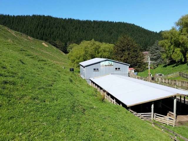 1584a Brunswick Road Kai Iwi_2