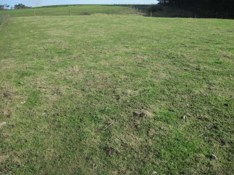 307 Glover Road Hawera_5