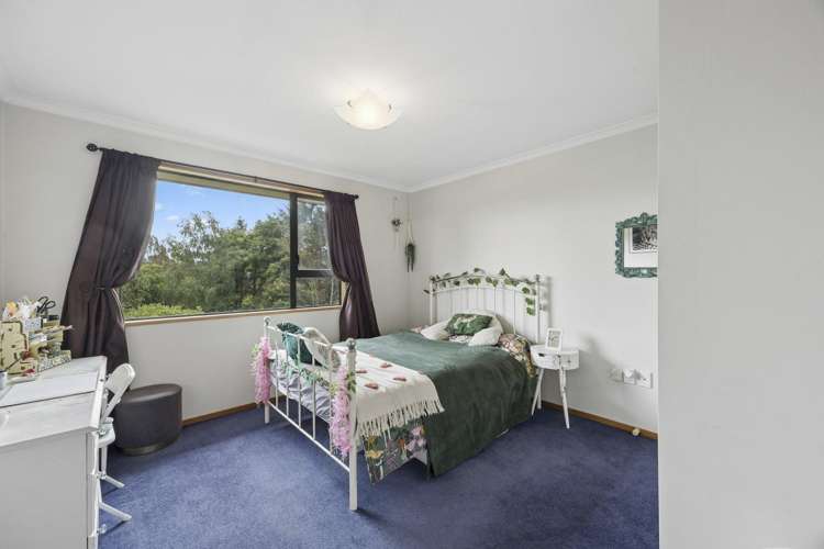 37 Burgess Street Green Island_9