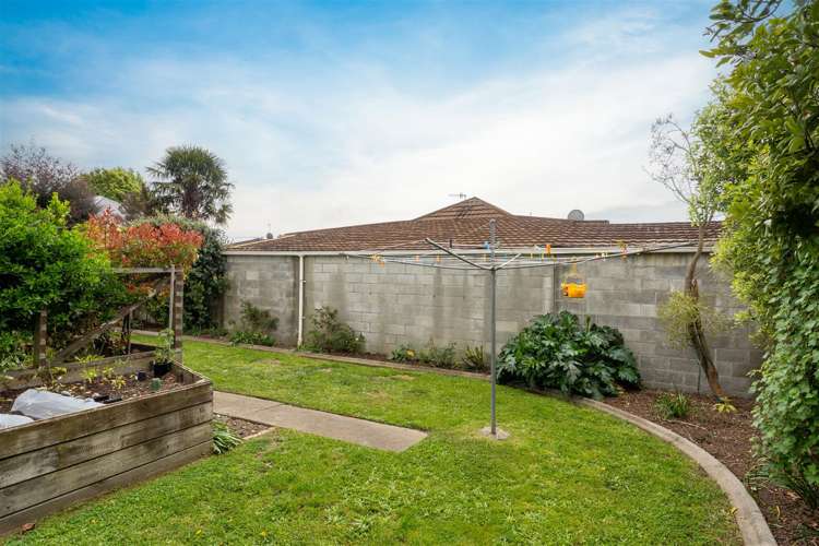 17B Bledisloe Avenue Stoke_15