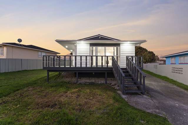 68 Finlayson Avenue Clendon Park_2