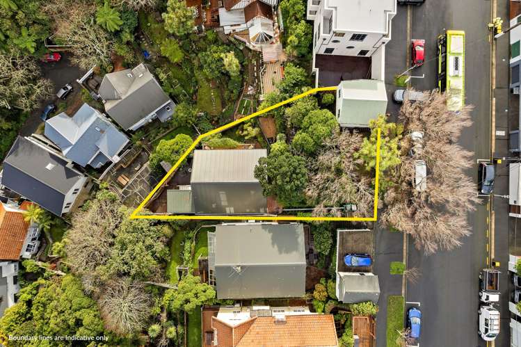 16 Upland Road Kelburn_37