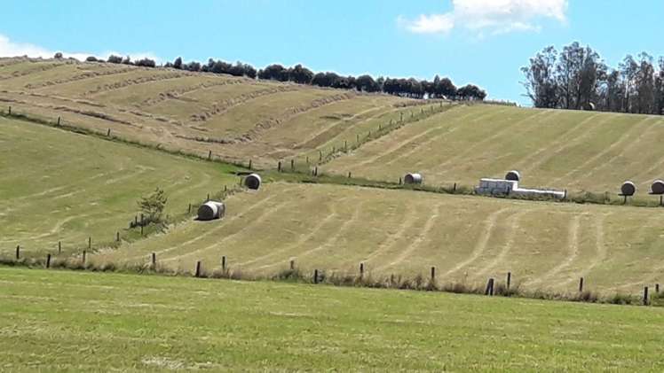 105 Willis Road Ngahinapouri_31