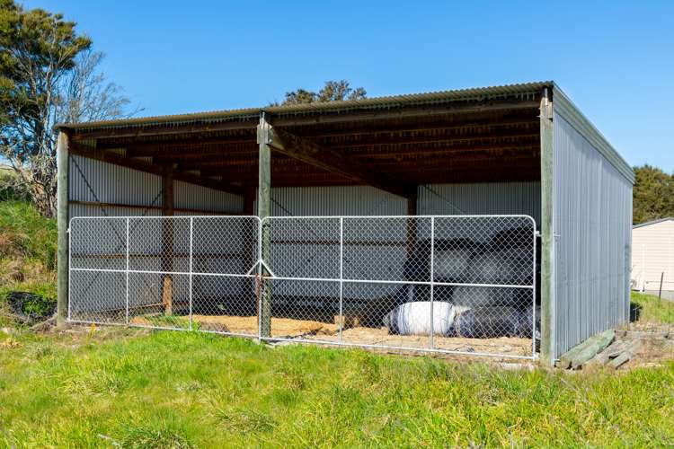 97 Shandon Road Waihopai Valley_5